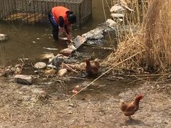水库鱼-老李客栈民宿餐厅