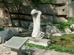 -原山国家森林公园