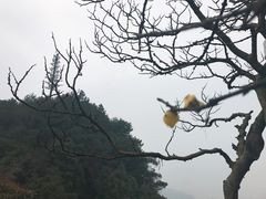 -綦江古剑山