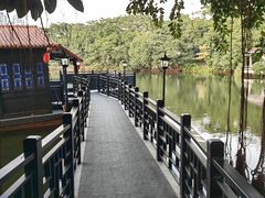 -侨美·唐荔园·40年地道粤菜