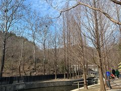 -白水寺森林公园