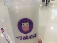 -一只酸奶牛(八一路店)