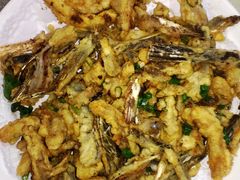 鸭嘴鱼-鲤鱼塘农家山庄