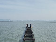 -贡湖湾湿地公园