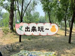 -东郊湿地公园