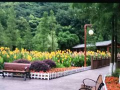 -重庆彩云湖湿地公园