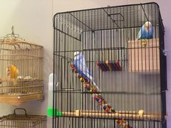 -Rabbit Cafe私房西餐甜点咖啡(栖霞路店)