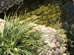 -潭柘厚院&山顶烤肉(潭柘寺店)