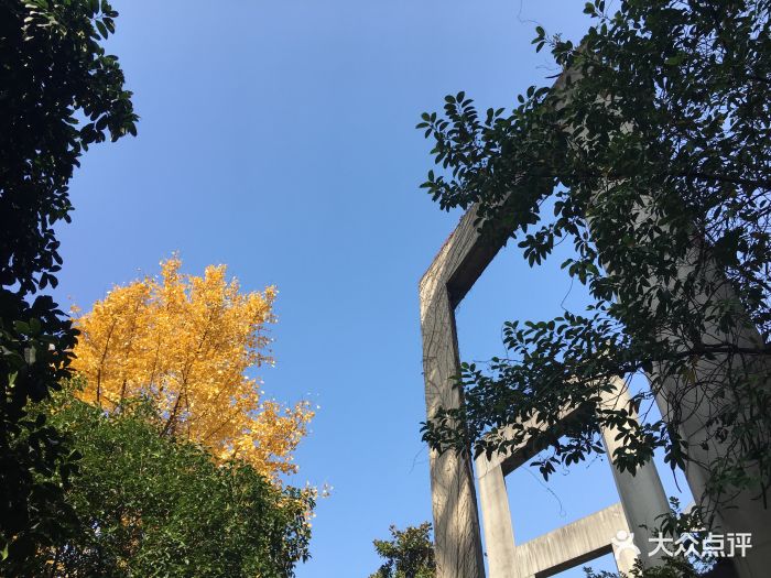 中国美院(南山路校区)图片 - 第2张