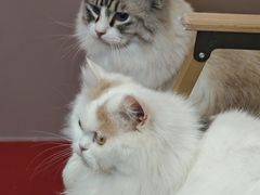 -天虹购物中心(深圳龙华店)