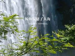 -刘伯温故里景区百丈漈