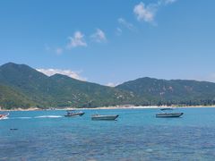 -西涌国际滨海旅游区