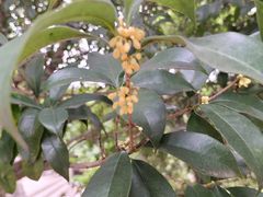 -方山风景区定林寺