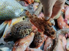 -新鸿港水果市场