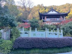 -十八棵（老龙井）御茶园(老龙井店)