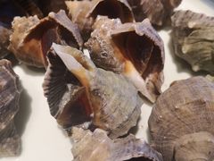 -渔民船说·北塘海鲜·天津菜·海肠捞饭(北塘古镇店)