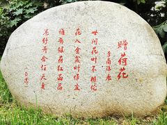 -莲湖公园