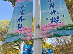 -高东镇樱花园