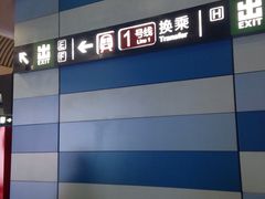 -大望路(地铁站)
