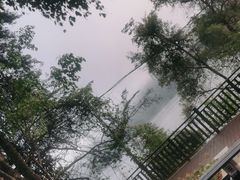 -孔雀湖生态旅游区