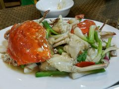 -肥信潮菜(科新路店)