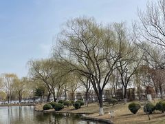 -石家庄市植物园