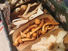 -芸山季·云南野生菌火锅(宝能环球汇店)