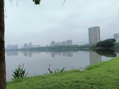-飞来湖湿地公园
