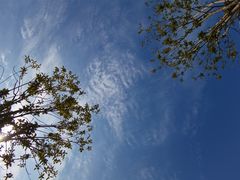 -武汉紫薇都市田园