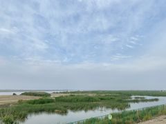 -羊亭河湿地公园