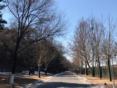 -北京张裕爱斐堡酒庄