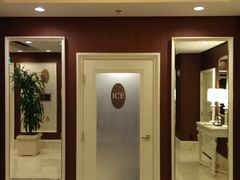 -拉斯维加斯永利酒店