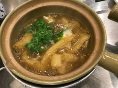 -大中鱼翅 Taitong Shark Fin