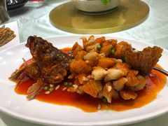 松子鳜鱼-金时代顺风大酒店(临港百联店)