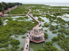 -北海金海湾红树林生态旅游区
