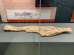 -大连自然博物馆