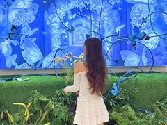 -深圳龙华星河COCO City(民治店)