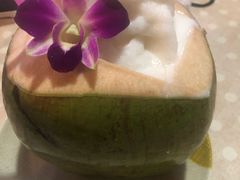 -Jungle Kitchen