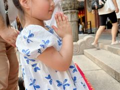 -龙华素斋(龙华路店)