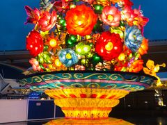 -锦江乐园舞狸花花游园会(夜场专享)