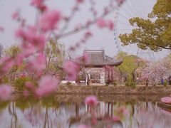 -无锡蠡湖国家湿地公园-蠡园