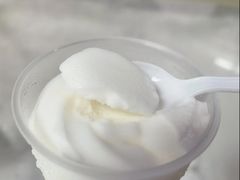 -洪馨椰子