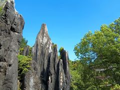 -玉石林风景区