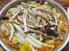 -菌极鲜野生菌火锅店(阳明祠店)