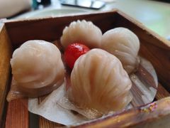 悦满楼虾饺皇-悦满楼·西关名点·湛江名菜(航空综合大厦店)