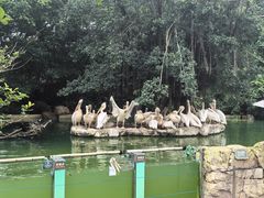 -珠海长隆海洋王国