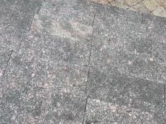 -双井轩(双井店)