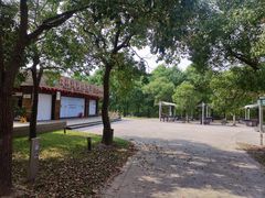 -上海海湾国家森林公园