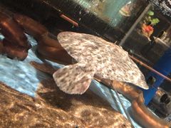 -阿伟海鲜楼·福建菜(延寿店)