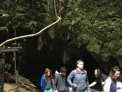 -怀托摩萤火虫洞